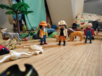 Safari Playmobil