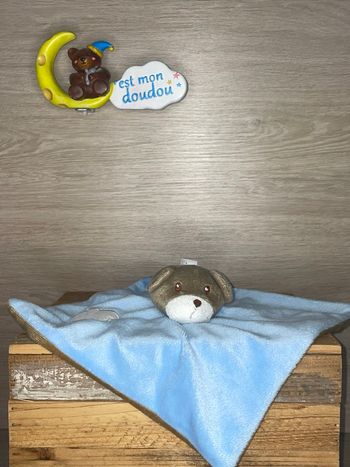 DIV477 doudou ours 🐻 King bear