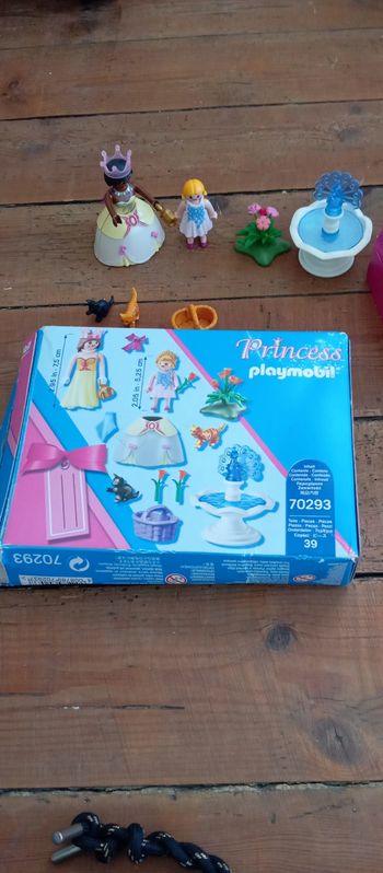 Playmobil princesse 70293