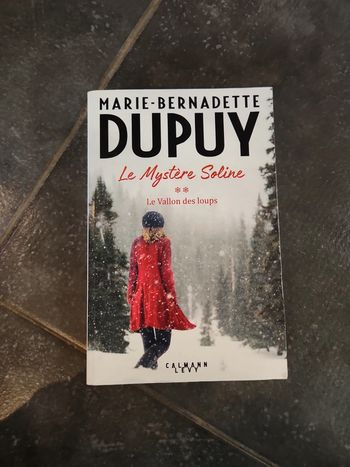 Livre : Le mystère Soline