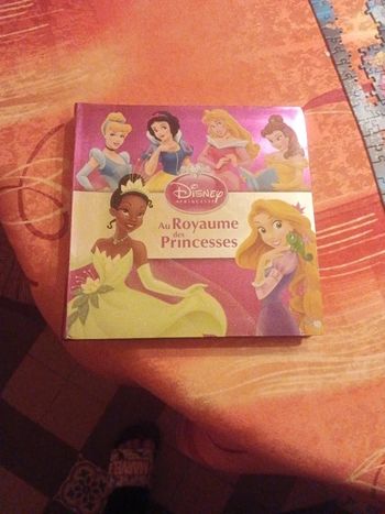 Livre Au Royaume des Princesses Disney