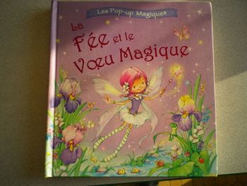 LA FEE ET LE VOEU MAGIQUE