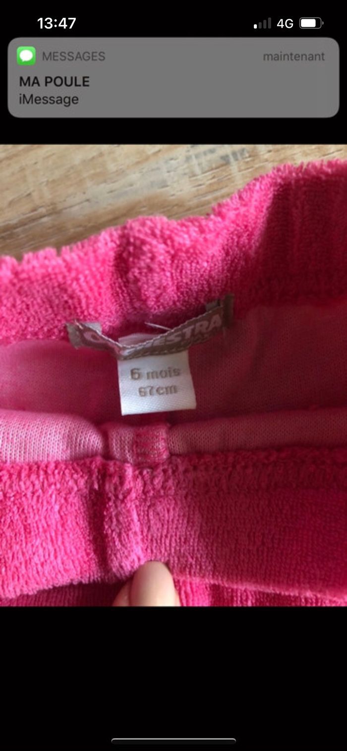 Short orchestra rose - photo numéro 2