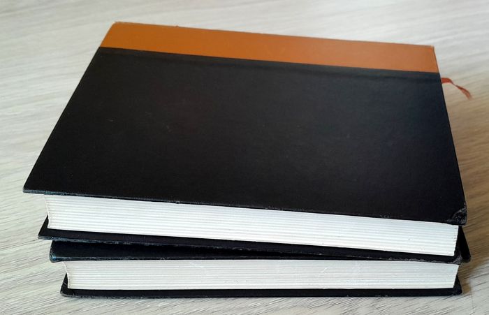 Alexandre Dumas - La reine margot tome 1 et 2 illustrés par saint-justh - photo numéro 4