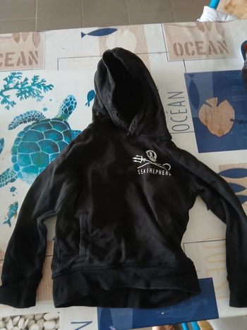 Pull sea shepherd