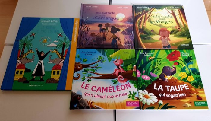 Livres pour Enfants Hachette