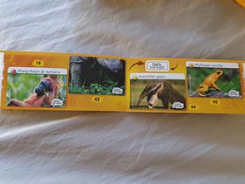 Autocollants Défis Nature Auchan 
18-42-66-90