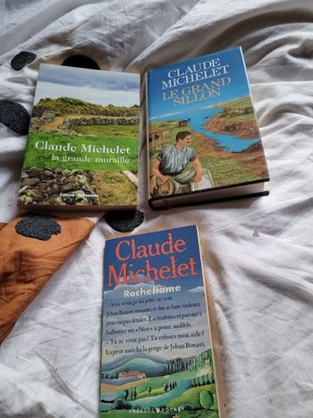 Livres de Claude Michelet