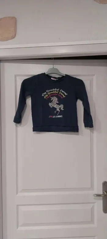 pull licorne