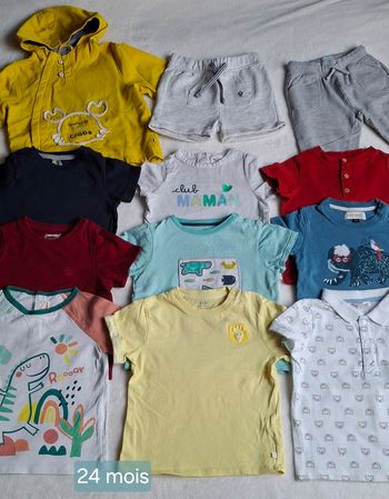 Lot t-shirts, short, jogging, veste / 24mois