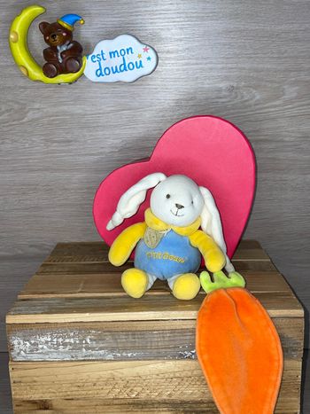 DDC484 doudou et compagnie lapin 🐰