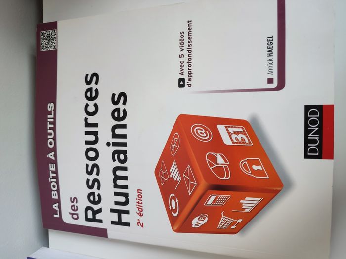 Lot livres ressources humaines - photo numéro 2