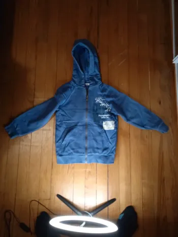 Gilet zippé a capuche gemo