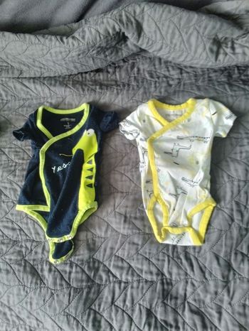 Bodies