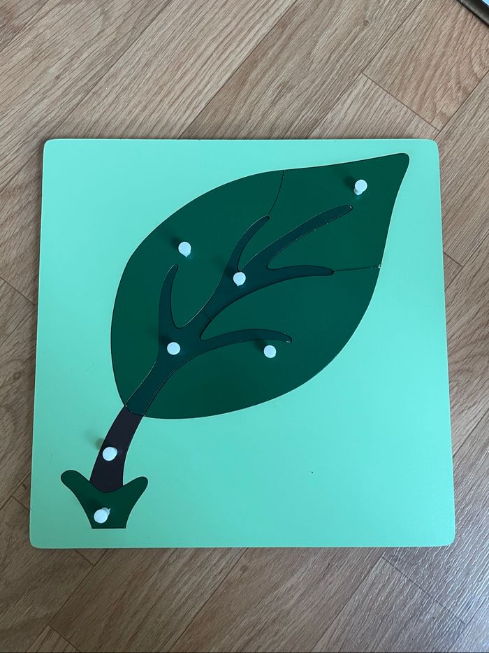 Puzzle Botanique Montessori : la feuille