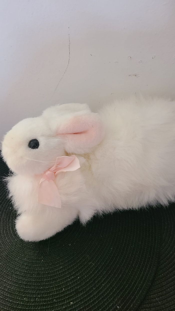 Collection Ty Classic - Grignote le lapin blanc - photo numéro 5