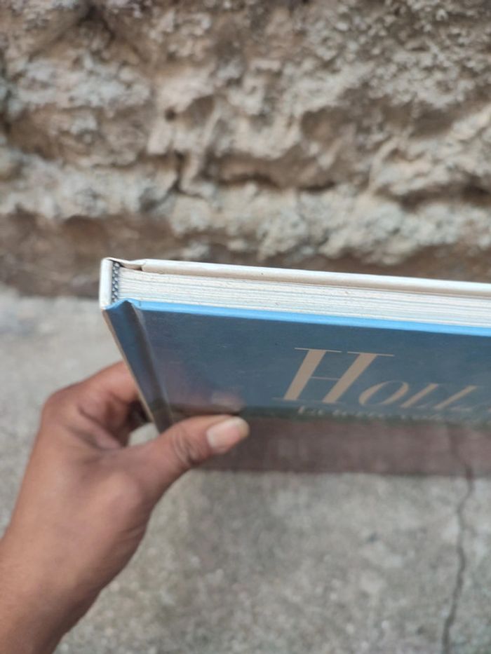 Livre hollande la terre volée à la mer - photo numéro 2