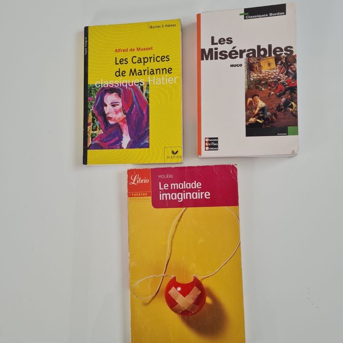 Lot de livres classiques