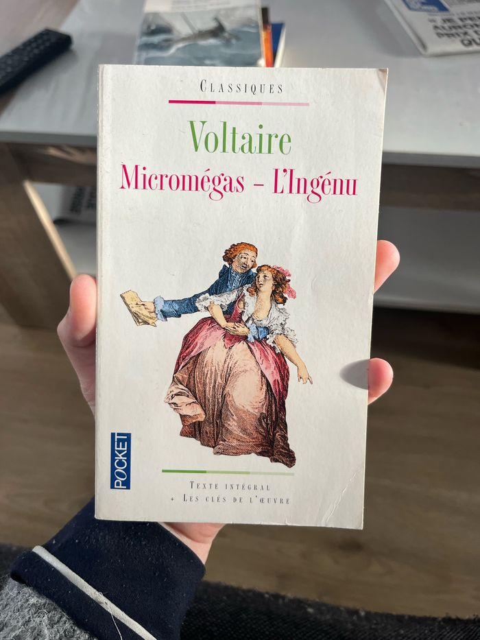 Micromegas - photo numéro 1
