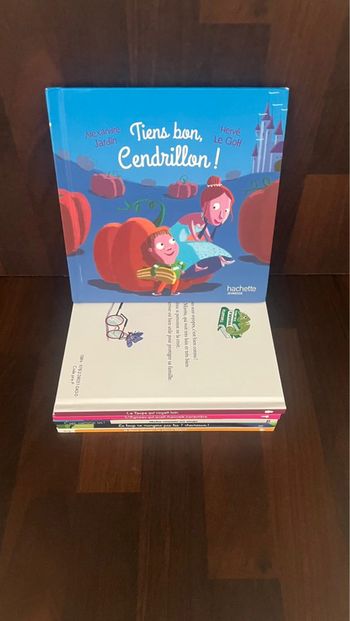 Tiens bon cendrillon   , livre McDo en parfait état . Edition hachette jeunesse .