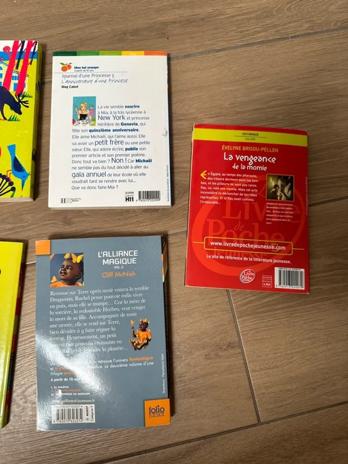 7 romans à partir de 9-10 ans - photo numéro 5