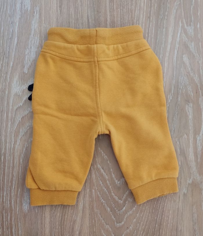 Ensemble Orchestra - photo numéro 3