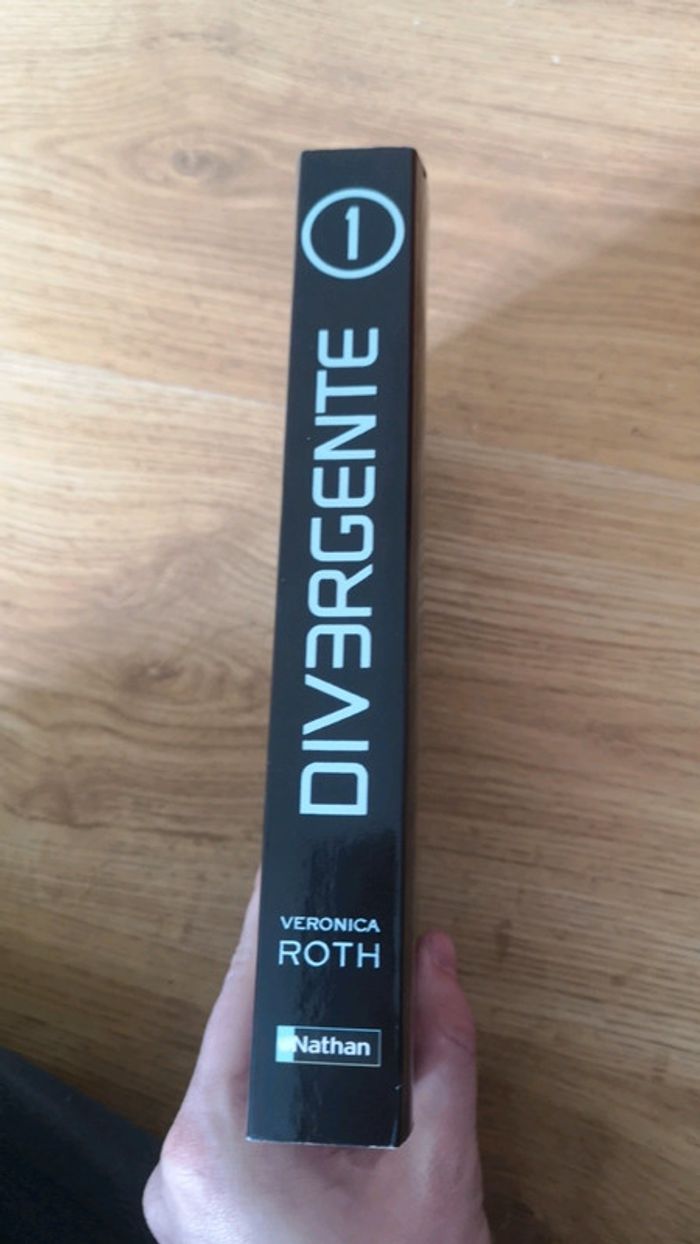 Divergente tome 1 - photo numéro 2