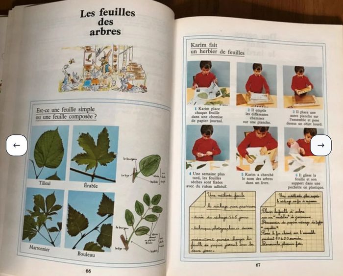 Sciences et technologie CE1 - CE2 - collection Tavernier - photo numéro 3