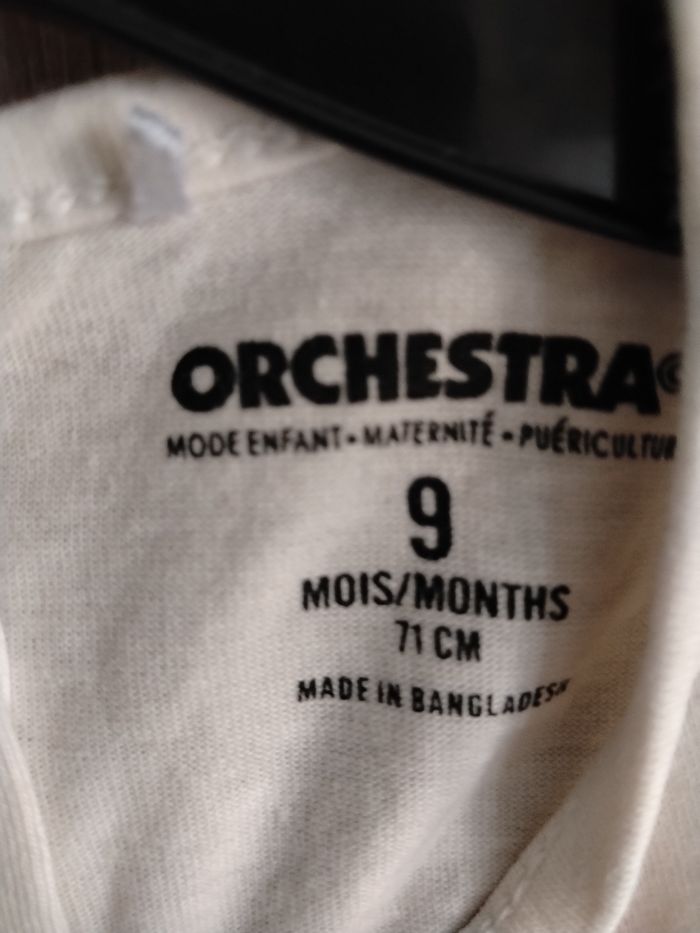 Petit haut fin - photo numéro 2