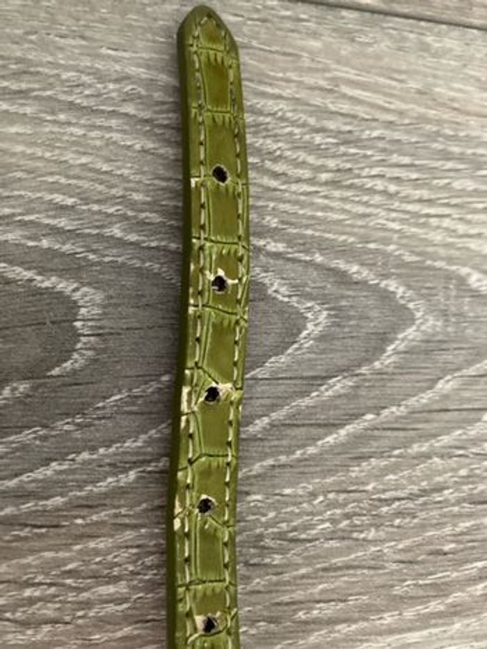 Ensemble collier et laisse pour chien - photo numéro 5