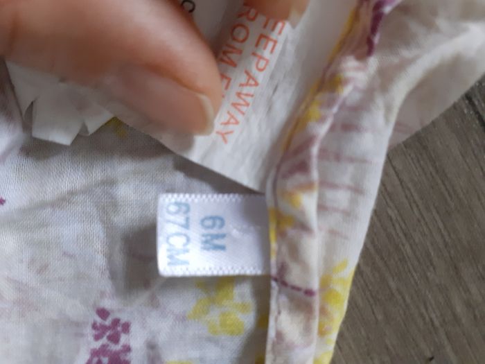 Bandeau - photo numéro 2