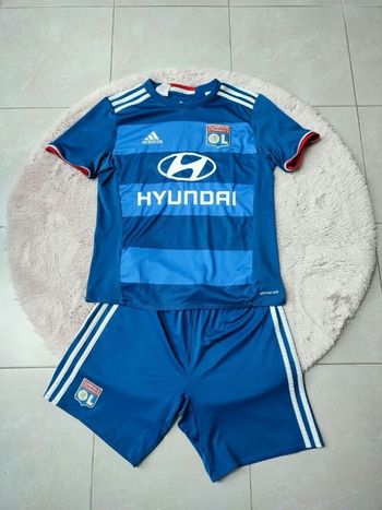 Ensemble olympique lyonnais 2016 2017