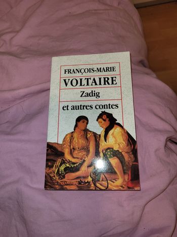 Zadig et autres contes Voltaire