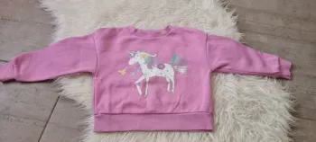 Pull Licorne