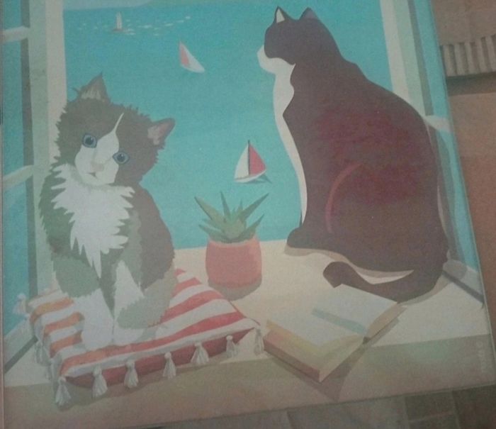 Encadrement chats - photo numéro 2