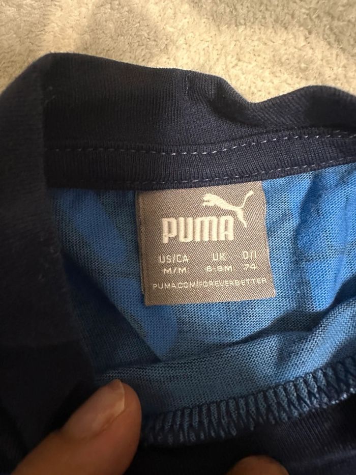Ensemble puma - photo numéro 3