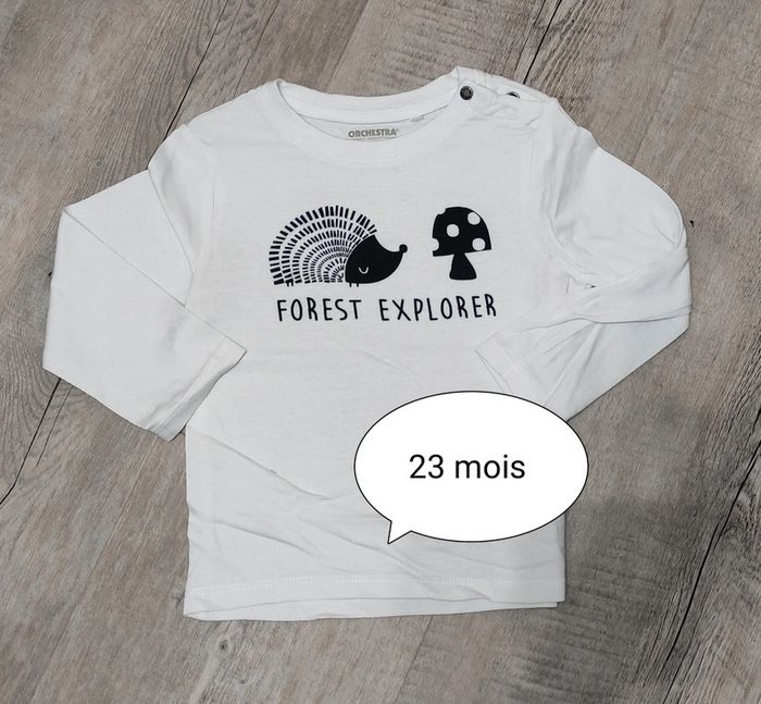 T-shirt ML 23 mois
