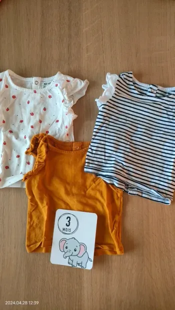 Lot de 3 T-shirt
