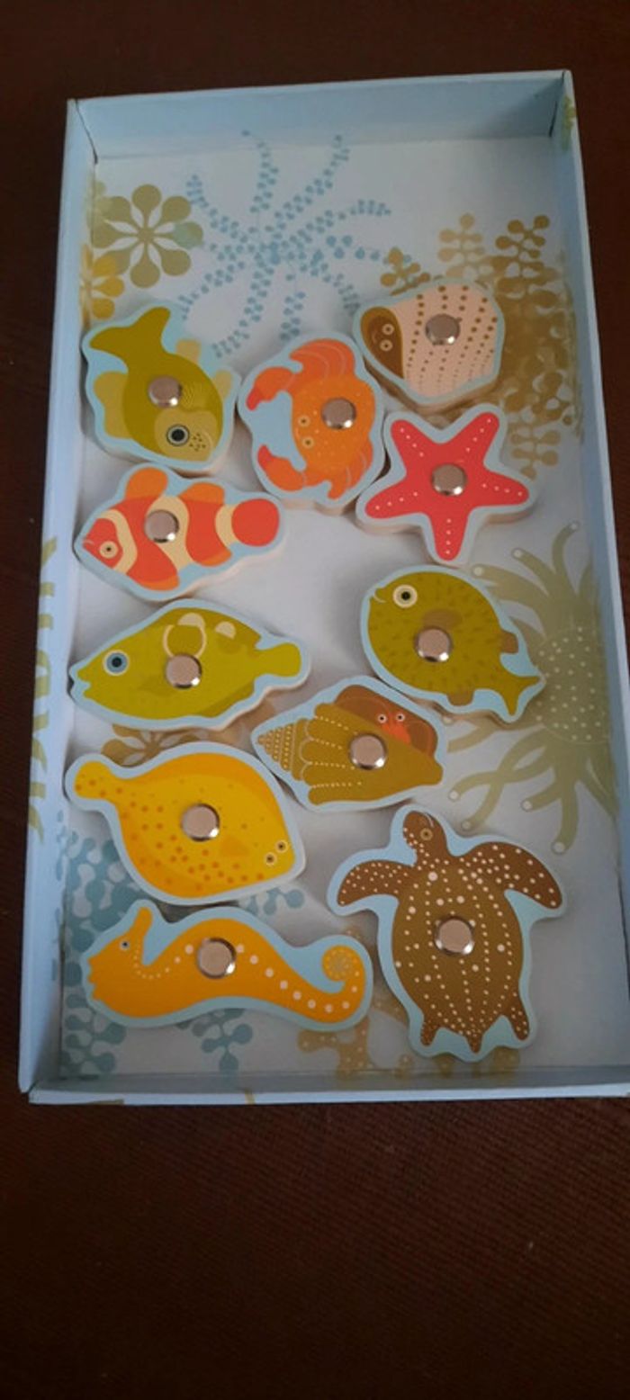 Pêche tropicale - photo numéro 3