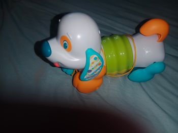 Chien a tirer