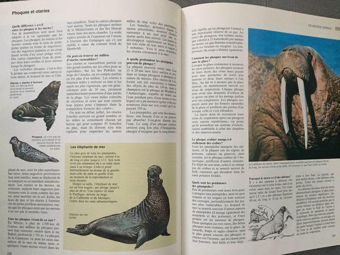 AA11-Livre: ABC de la nature NEUF - photo numéro 5