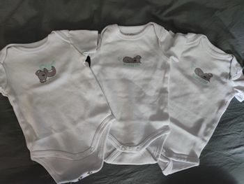 Body manches courtes