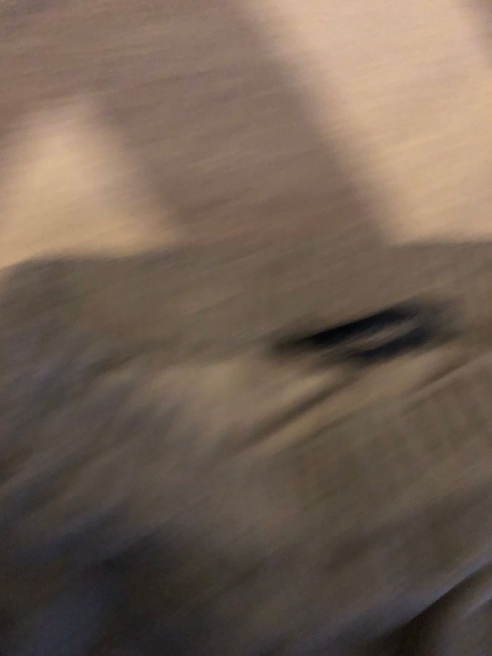 Le lot de 2 pantalon taille 4 ans le pantalon gris foncer à quelques signe d’usure mes reste en bon état voir photo joint et le pantalon gris clair est en très bon état - photo numéro 4