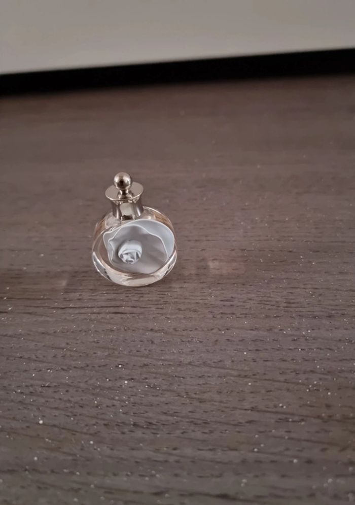 Mini parfums - photo numéro 6