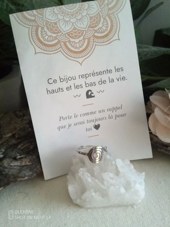 Bague argentée bague de la vie + carte