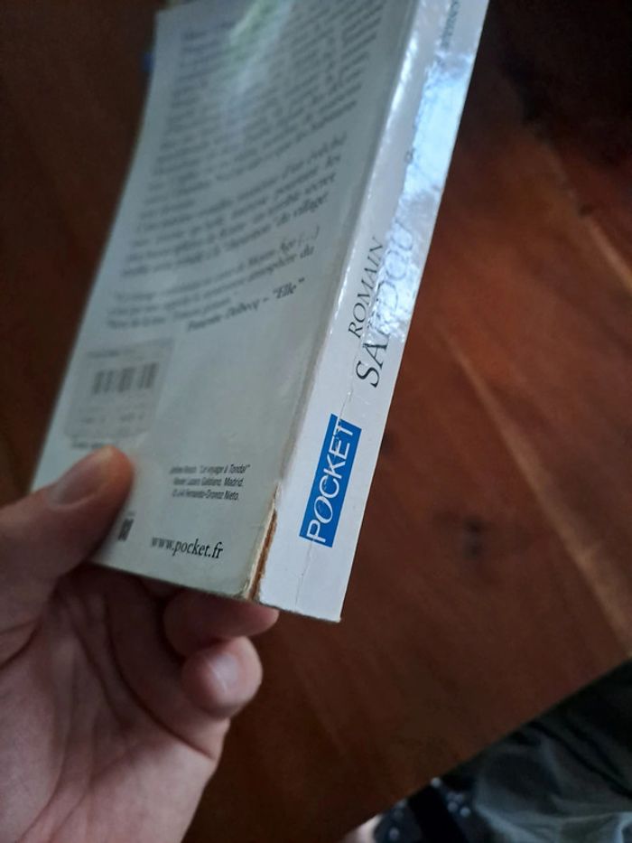 Livre Pardonnez Nos Offenses, Romain Sardou - photo numéro 3