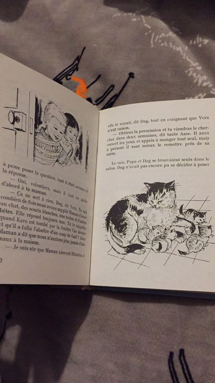 Dag et ses amis Bibliothèque de l’amitié I. Austveg - photo numéro 6