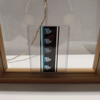 Pellicule démon slayer daki