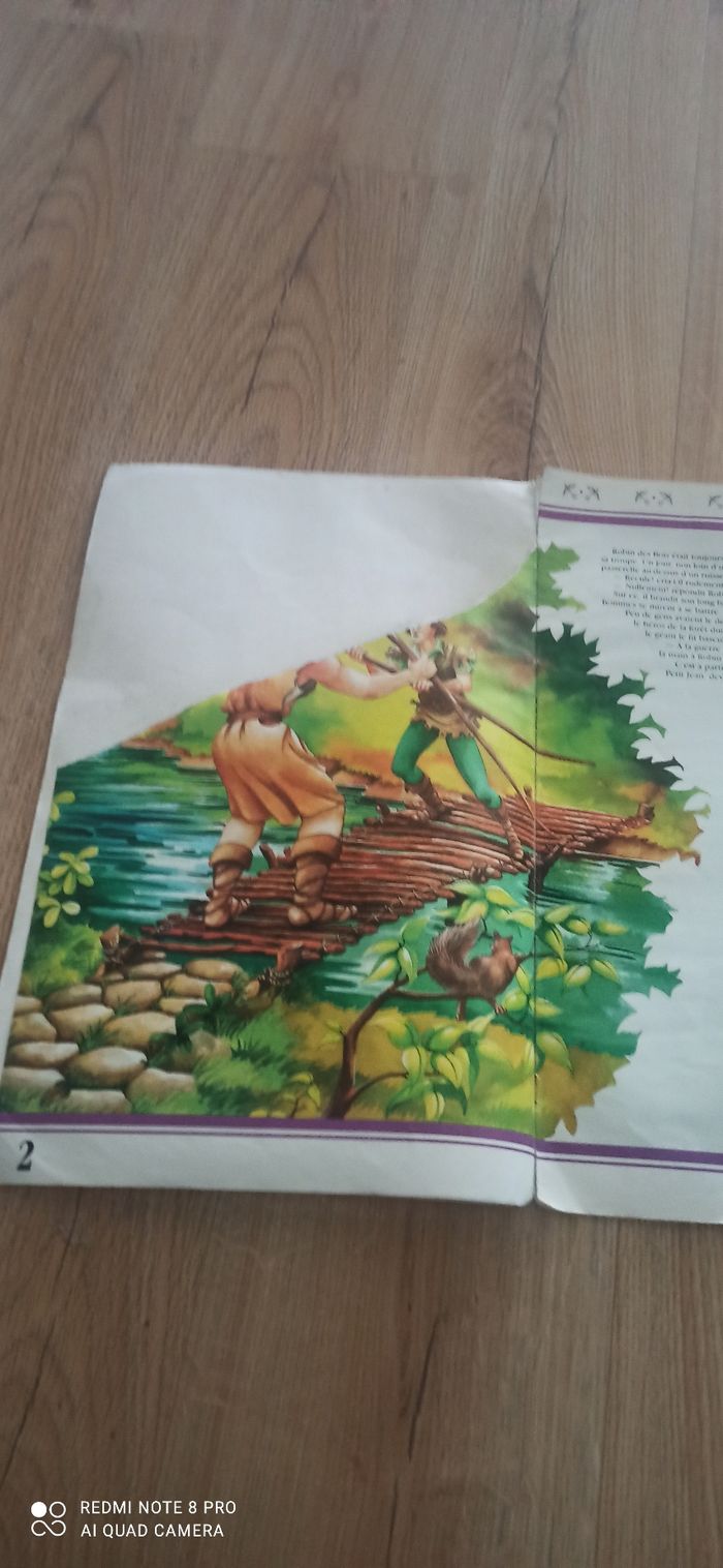 Livre geant Robin Des Bois - photo numéro 2