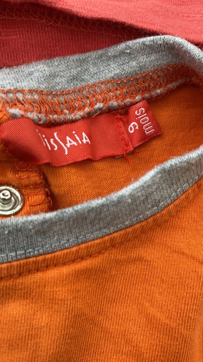 Lot 5 tee-shirts garçon 9 mois - photo numéro 6